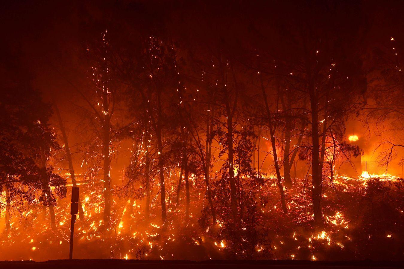 Fotos: California azotada por fuertes incendios