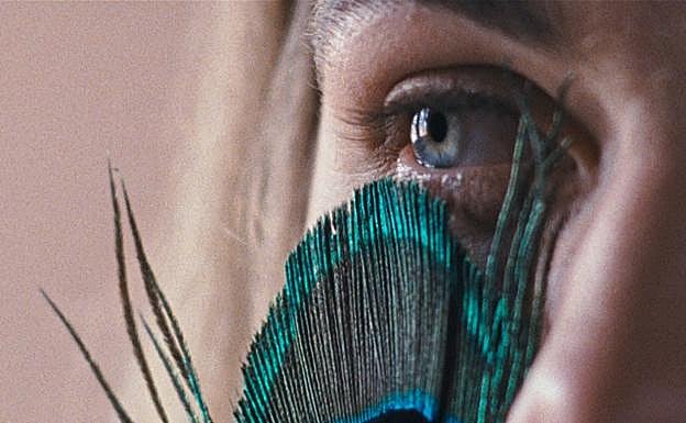 'The Metamorphosis of Birds'.