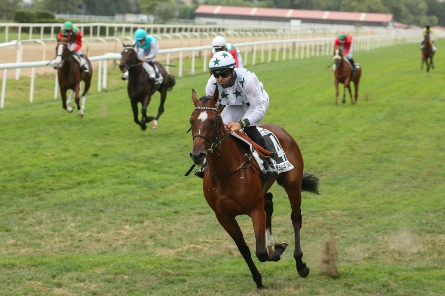 Carreras en el hipódromo de Lasarte. 