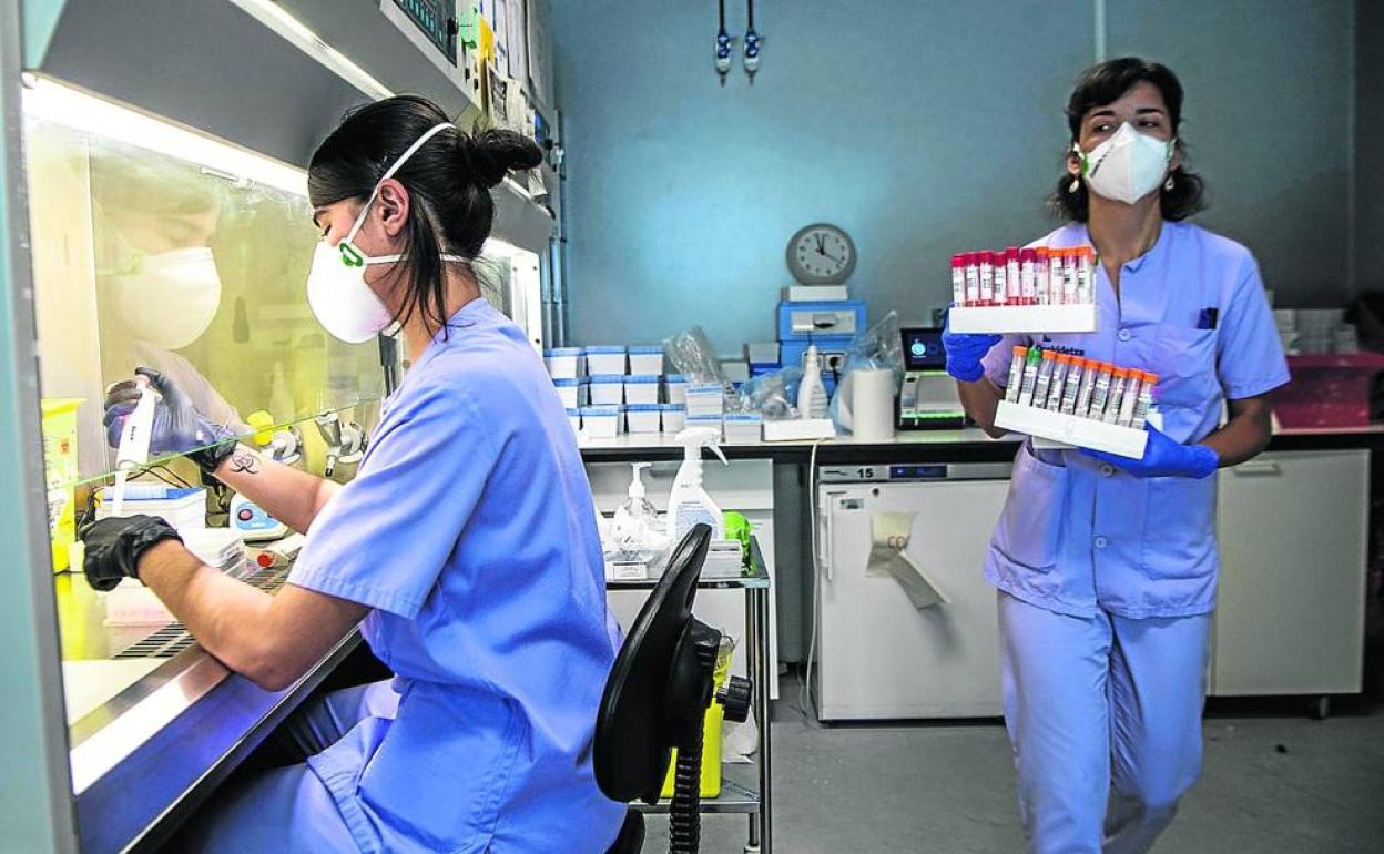 Una vez desinfectadas las muestras en el hospital de Cruces, se llevan a las máquinas que amplificarán el ARN.