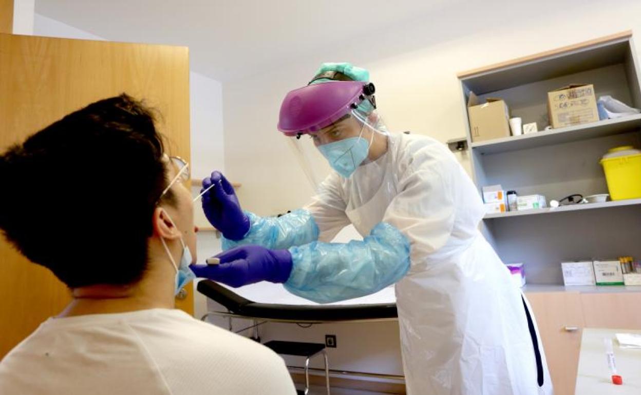 Covid-19 en Gipuzkoa: Fallecidos y positivos por localidad