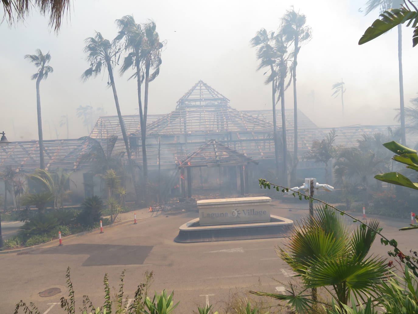 Efectivos del Plan Infoca y del Consorcio Provincial de Bomberos trabajan en la zona