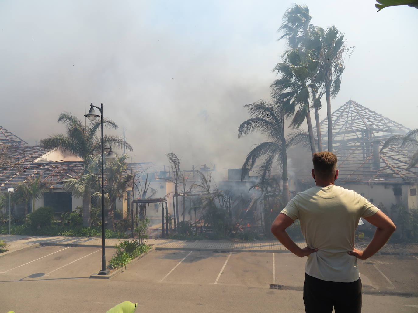 Efectivos del Plan Infoca y del Consorcio Provincial de Bomberos trabajan en la zona