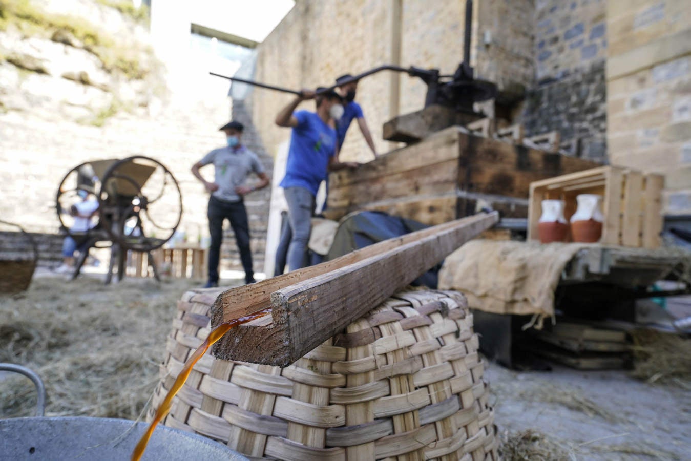 Este año no habrá 'Sagardo Eguna' debido a la pandemia del Covid-19. La campaña se llevará a cabo en bares y restaurantes guipuzcoanos y en ella participan todos los hosteleros y sidrerías que se han inscrito, en total 40. 