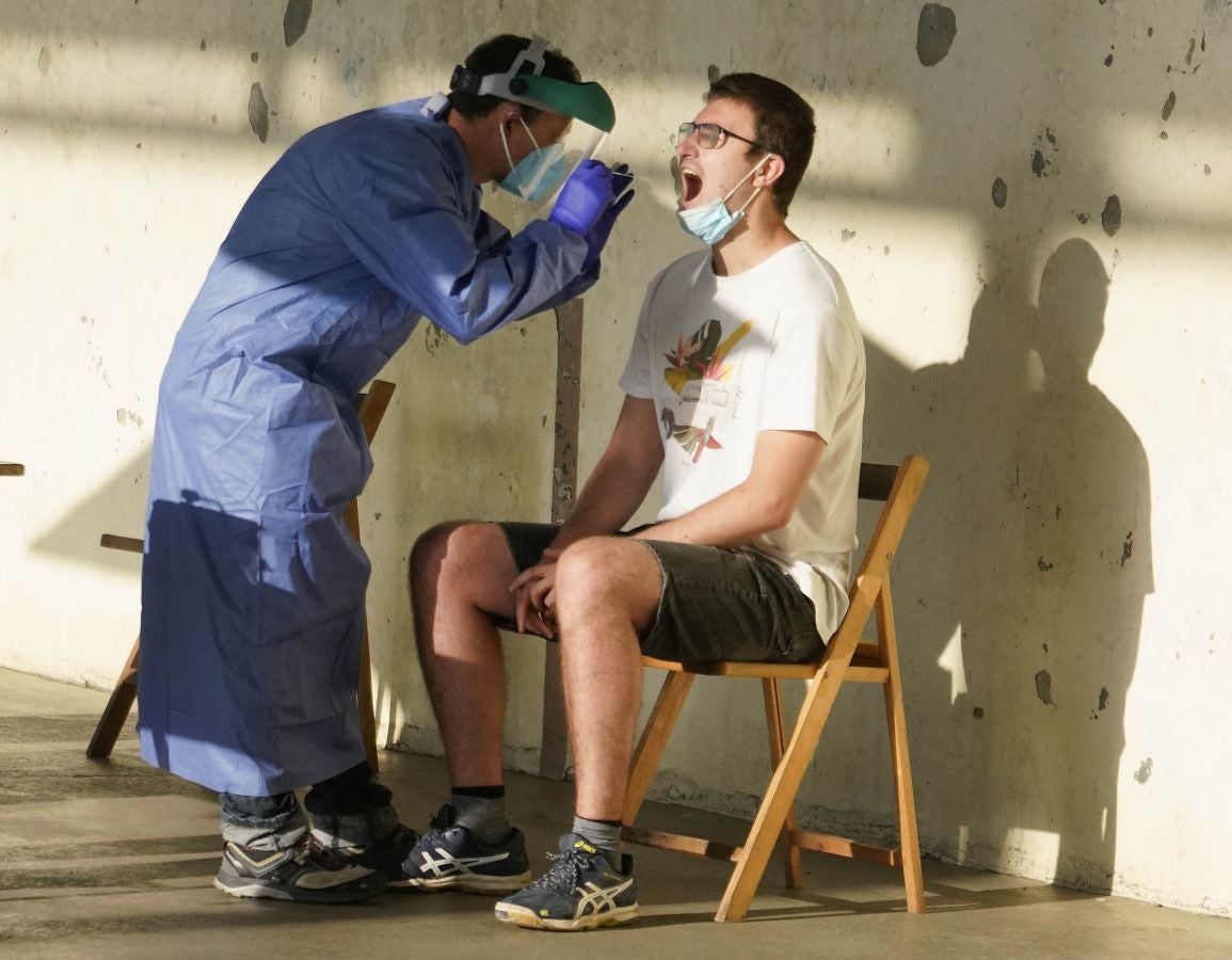 Medio millar de temporeros se someten a test PCR antes de dar comienzo a la vendimia del txakoli