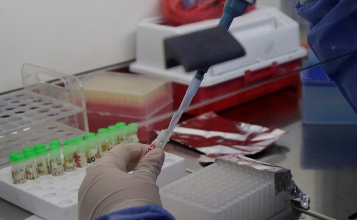 Laboratorio que procesa pruebas de Covid-19. 