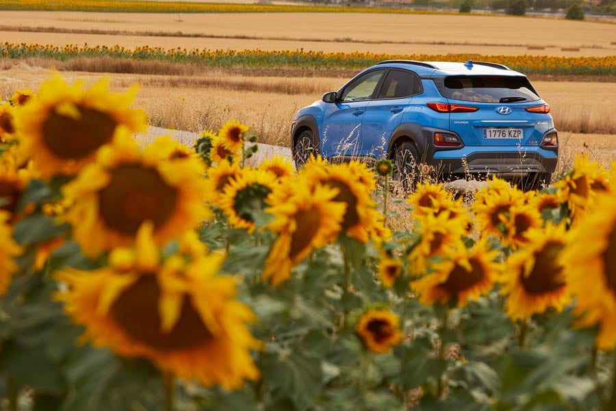 Fotos: La gama electrificada de Hyundai