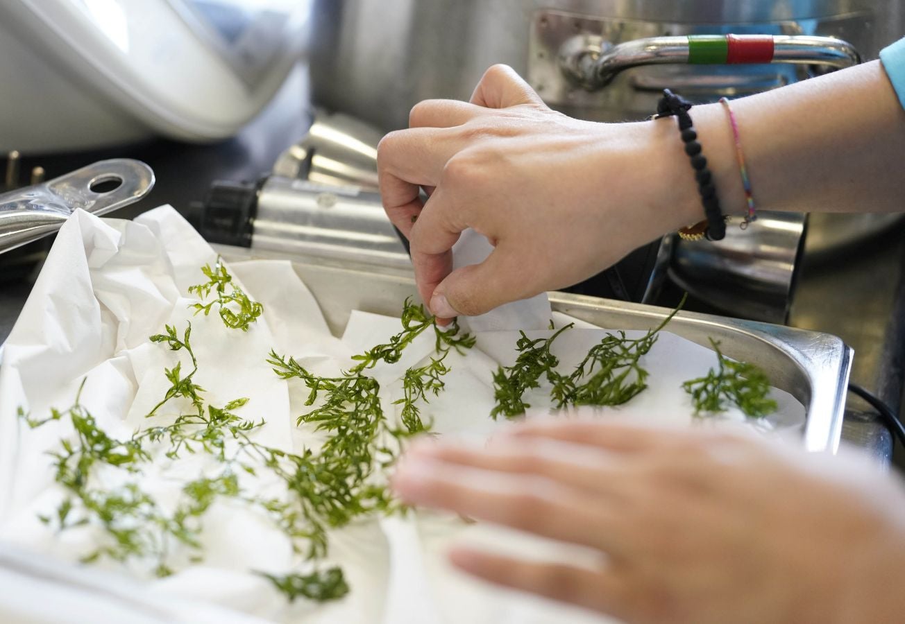 Belén Abad y Lourdes Villalobos del restaurante Chinchín Puerto de Caleta de Vélez, en Málaga, ganan el certamen organizado por San Sebastian Gastronomika