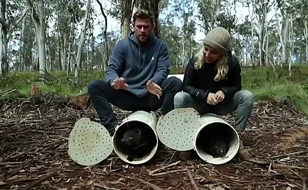 Chris Hemsworth y Elsa Pataky sueltan dos demonios de Tasmania
