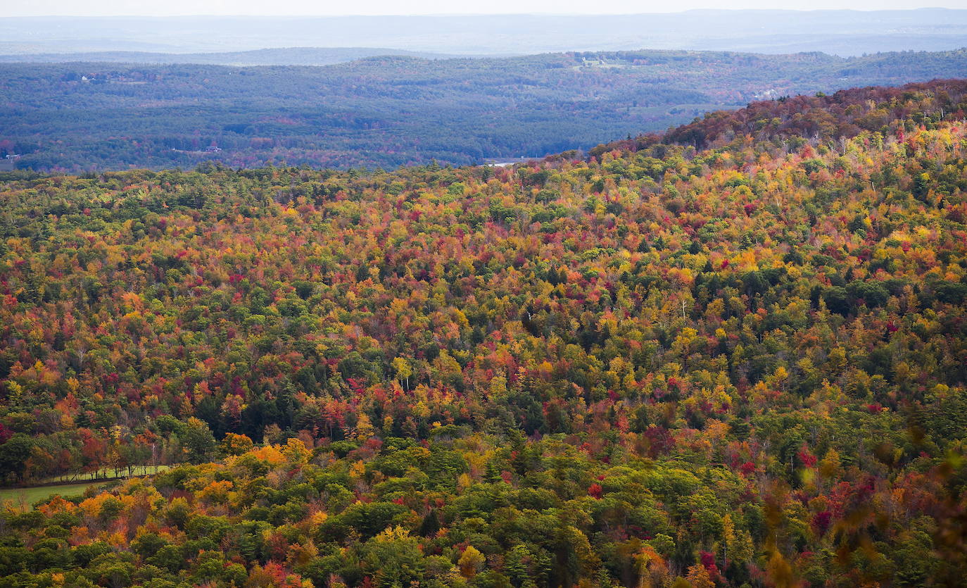 En White Mountains, de New Hampshire, los picos más altos ya registran colores otoñales que atraen a millones de visitantes de todo el mundo. Otras visitas obligadas son Peterborough, Jaffrey y Stowe, en Vermont. 