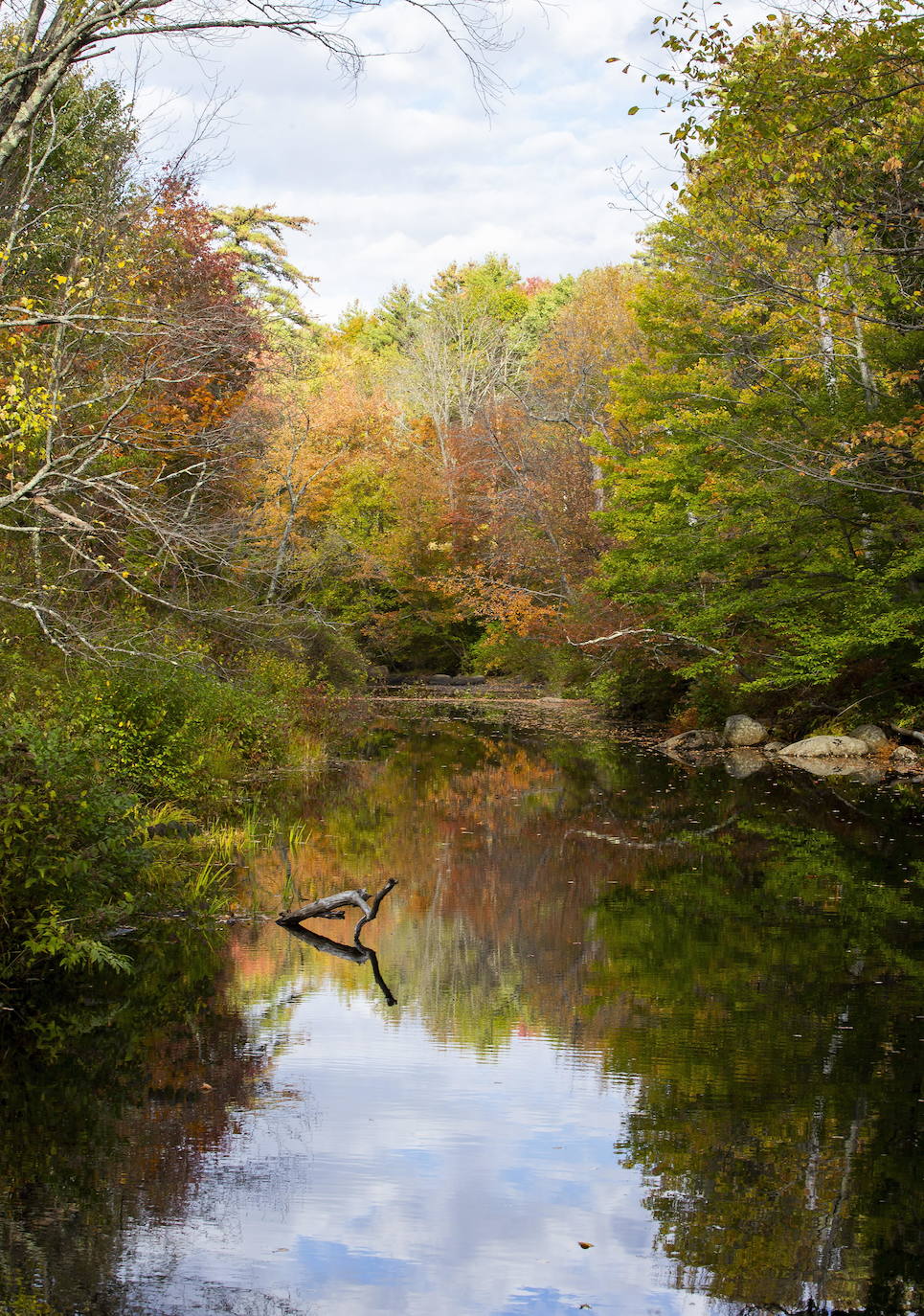 En White Mountains, de New Hampshire, los picos más altos ya registran colores otoñales que atraen a millones de visitantes de todo el mundo. Otras visitas obligadas son Peterborough, Jaffrey y Stowe, en Vermont. 