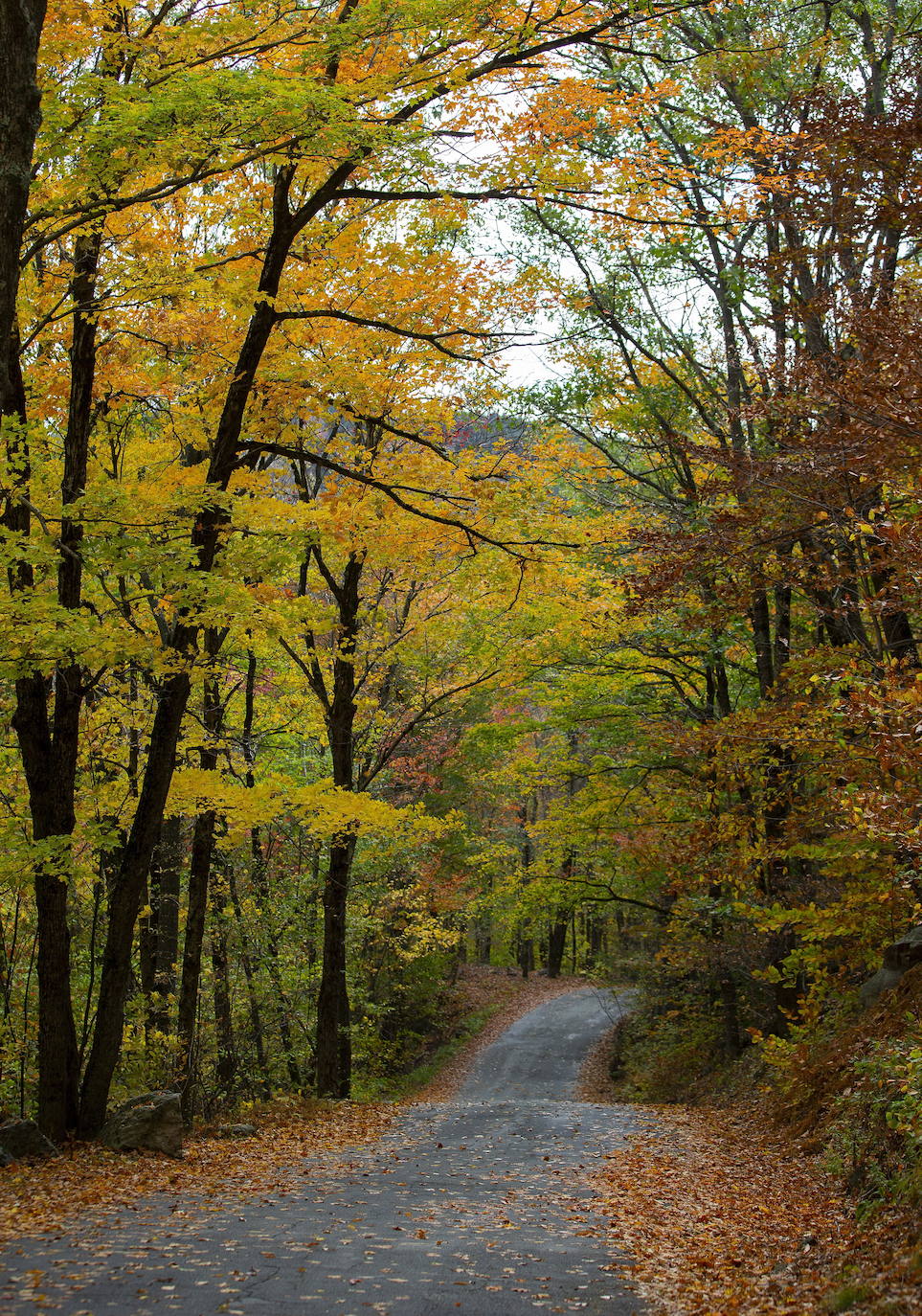 En White Mountains, de New Hampshire, los picos más altos ya registran colores otoñales que atraen a millones de visitantes de todo el mundo. Otras visitas obligadas son Peterborough, Jaffrey y Stowe, en Vermont. 