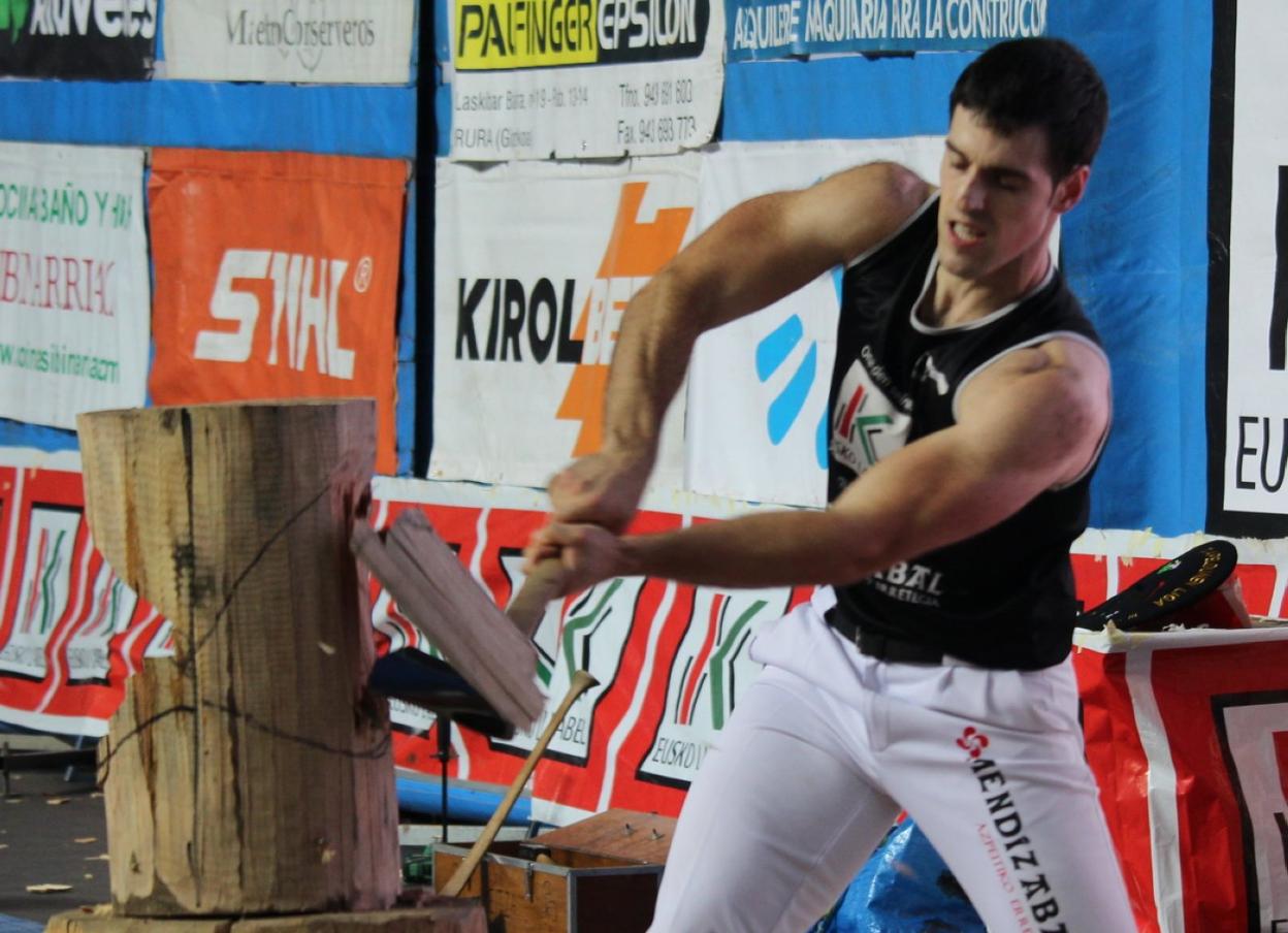 Txikia IV.a aizkolari azkotiarra, zutikako enborrean gogor lanean. 