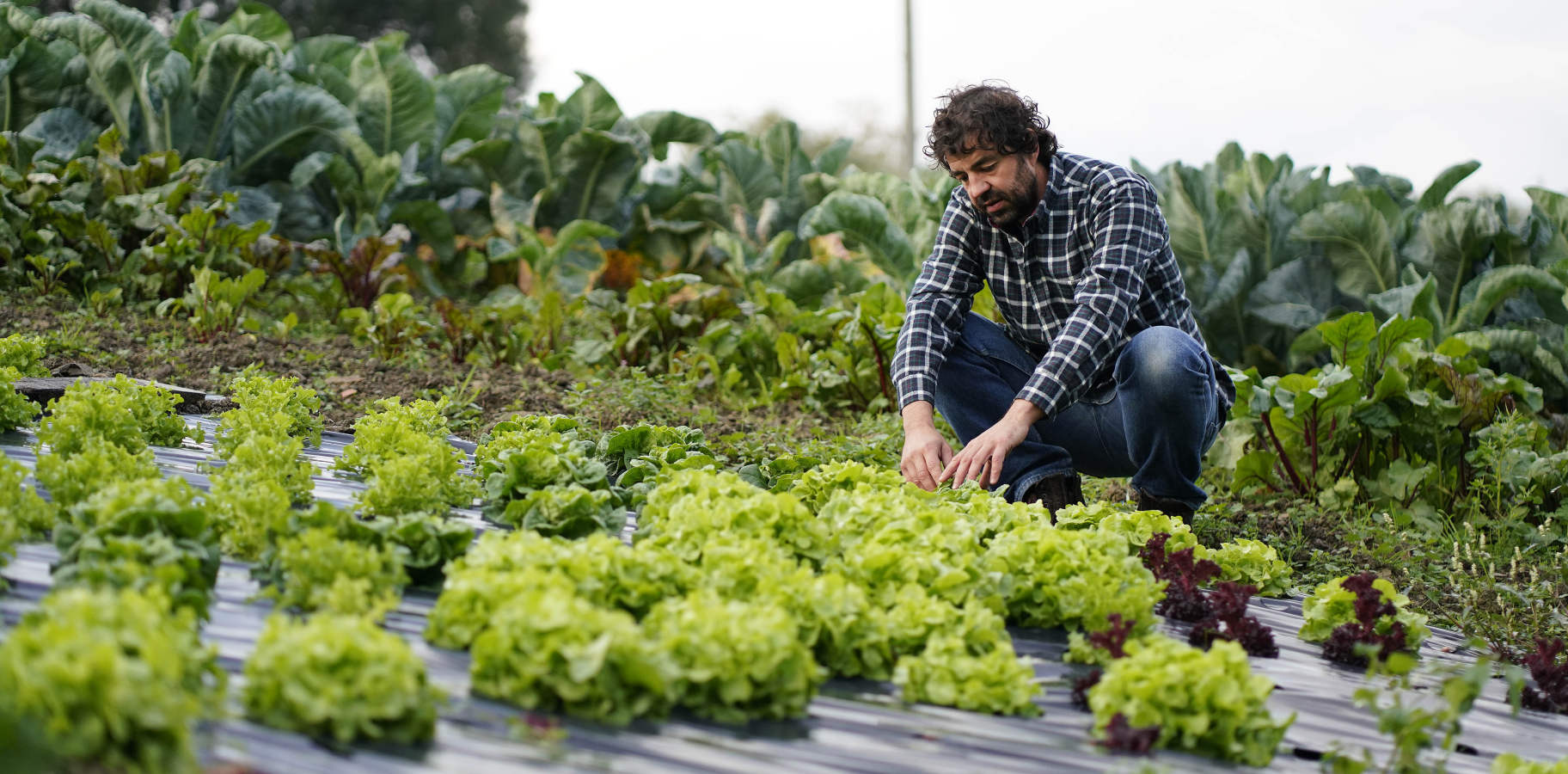 El ganadero Aitor Zapirain y el agricultor Julen Zulaika son dos de los jóvenes baserritarras que han recibido la ayuda económica de la Diputación 