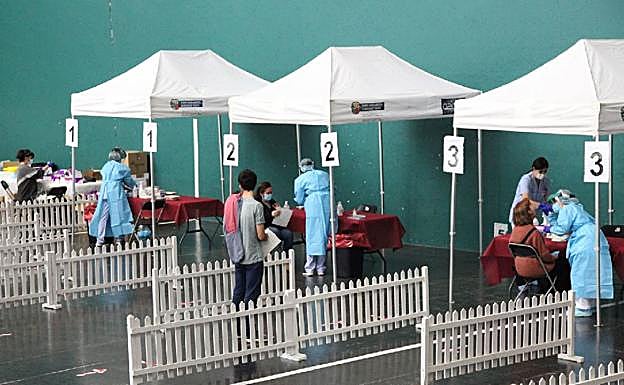 Las muestras se recogerán en el Beti Alai hasta mañana.