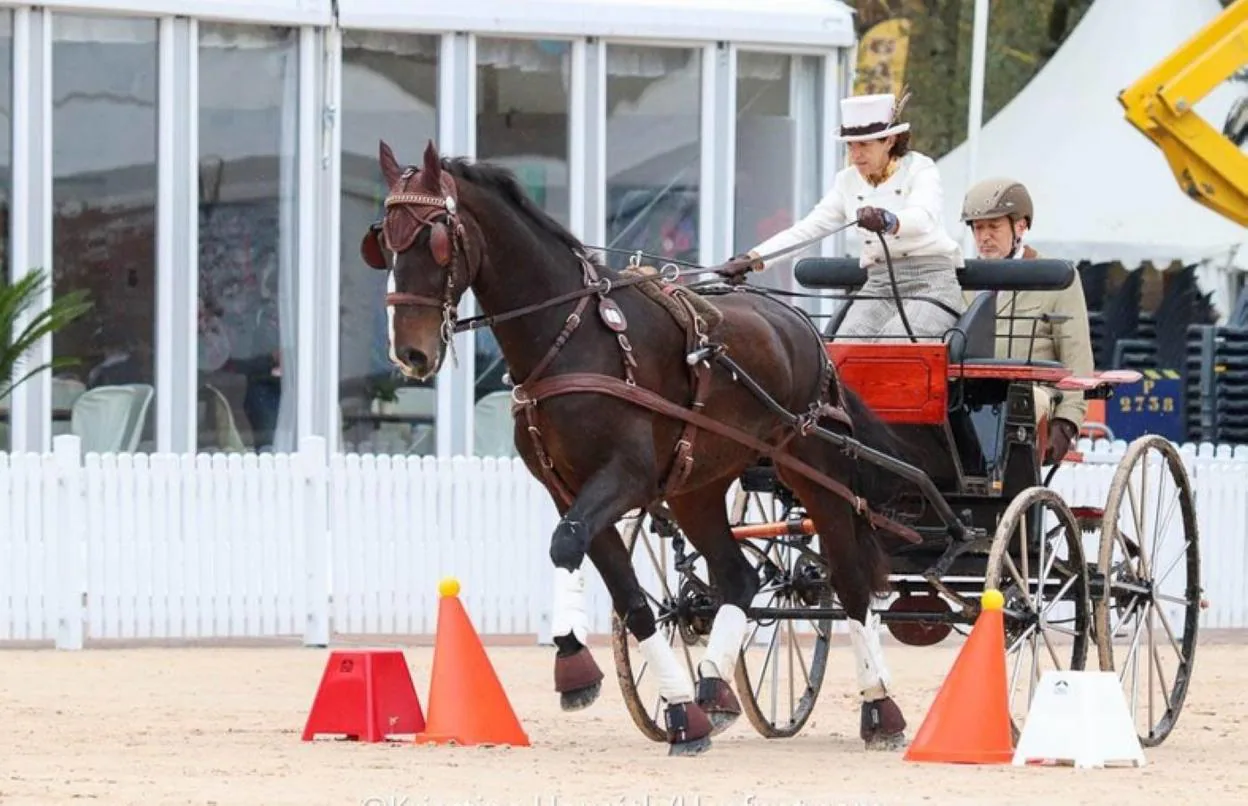 Los hermanos Goiburu concurren en el mundial de enganche de Pau por  invitación | El Diario Vasco