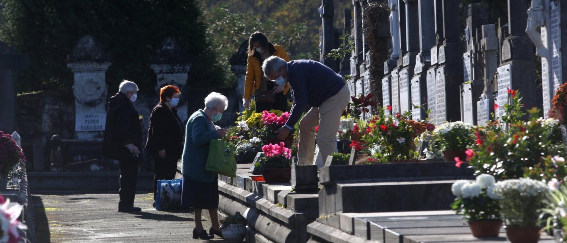 Flores nuevas tras meses de mínima actividad