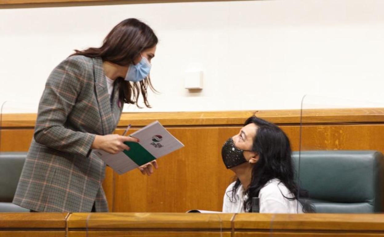 Las parlamentarias del PNV, Leixuri Arrizabalaga,y de Vox, Amaia Fernández, conversan durante la sesión de este jueves en el Parlamento Vasco.