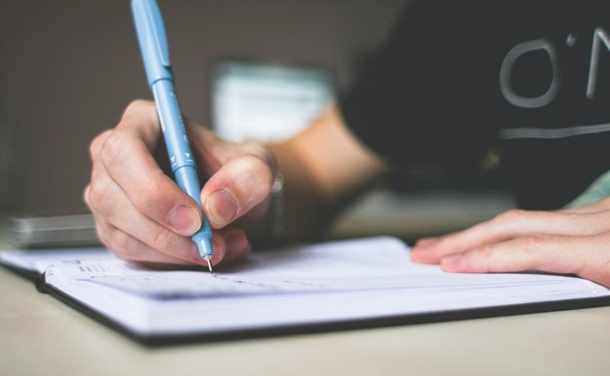 El Gobierno Vasco pide a los alumnos que estas Navidades se queden en casa y «dediquen tiempo a la lectura» para frenar el coronavirus