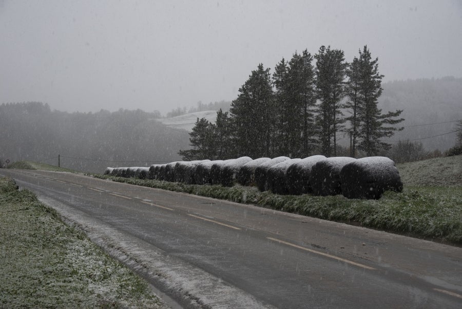 La nieve caída en las últimas horas obliga a los conductores a circular en sus vehículos con cadenas por cuatro puertos de la red secundaria viaria vasca, los alaveses de Herrera, Kurtzeta, Opakoa y Orduña. 