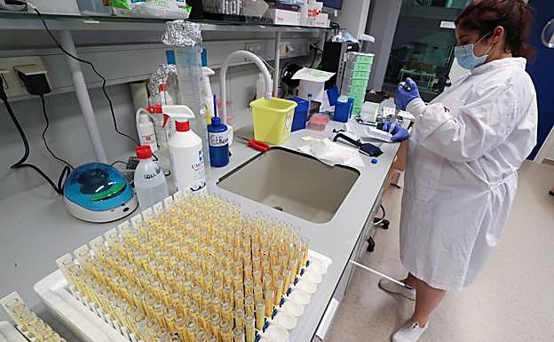 Gipuzkoa sigue ganando la batalla al Covid, con 106 contagios en las últimas 24 horas