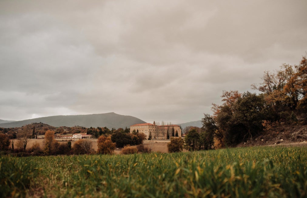 Inés, acostumbrada a ejercer de 'wedding planner' en Marketing For Lemons, se casó con Endika tras 10 años de relación, convirtiéndose en la novia del vestido más especial que hemos visto en los últimos años.