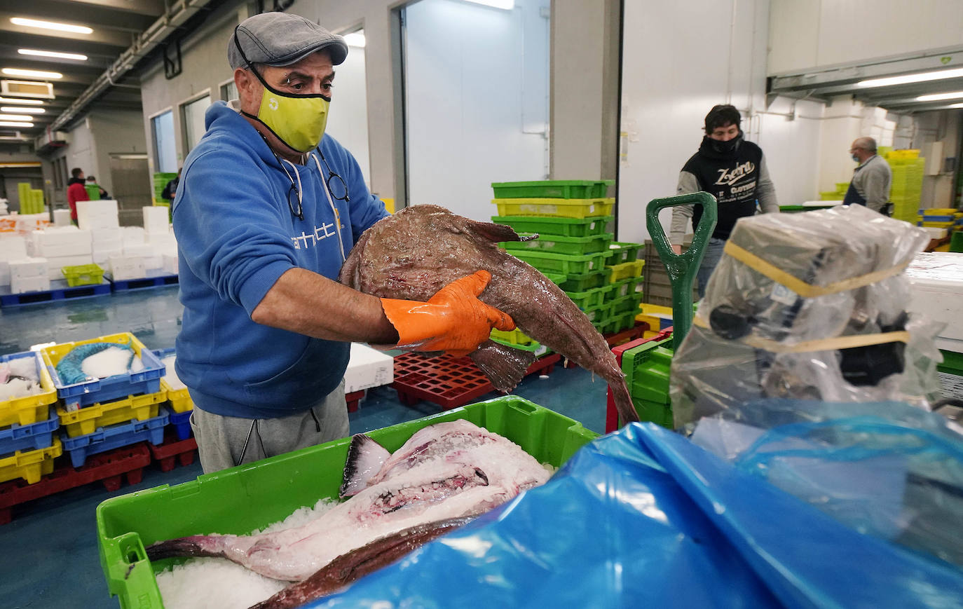 La lonja de Pasaia confirma que la Navidad será distinta, al detectarse en los encargos que las celebraciones van a ser de menos personas. Armadores, vendedores, mayoristas y minoristas trabajan estos días sin descanso para que ninguna familia o establecimiento hostelero se quede estas Navidades sin pescado fresco.