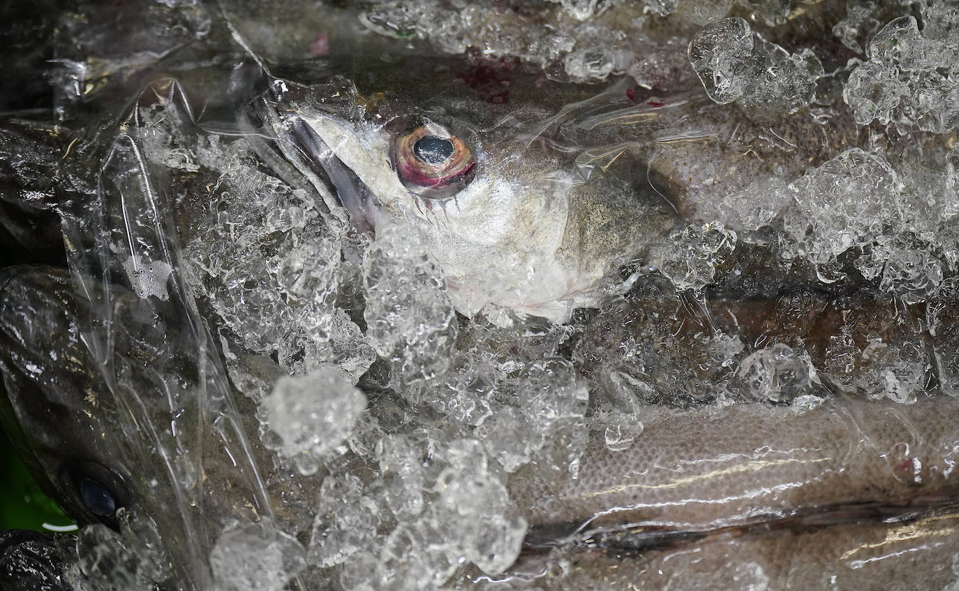 La lonja de Pasaia confirma que la Navidad será distinta, al detectarse en los encargos que las celebraciones van a ser de menos personas. Armadores, vendedores, mayoristas y minoristas trabajan estos días sin descanso para que ninguna familia o establecimiento hostelero se quede estas Navidades sin pescado fresco.