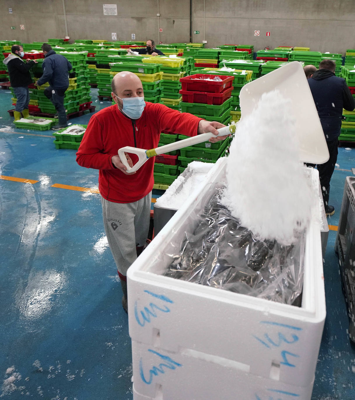 La lonja de Pasaia confirma que la Navidad será distinta, al detectarse en los encargos que las celebraciones van a ser de menos personas. Armadores, vendedores, mayoristas y minoristas trabajan estos días sin descanso para que ninguna familia o establecimiento hostelero se quede estas Navidades sin pescado fresco.