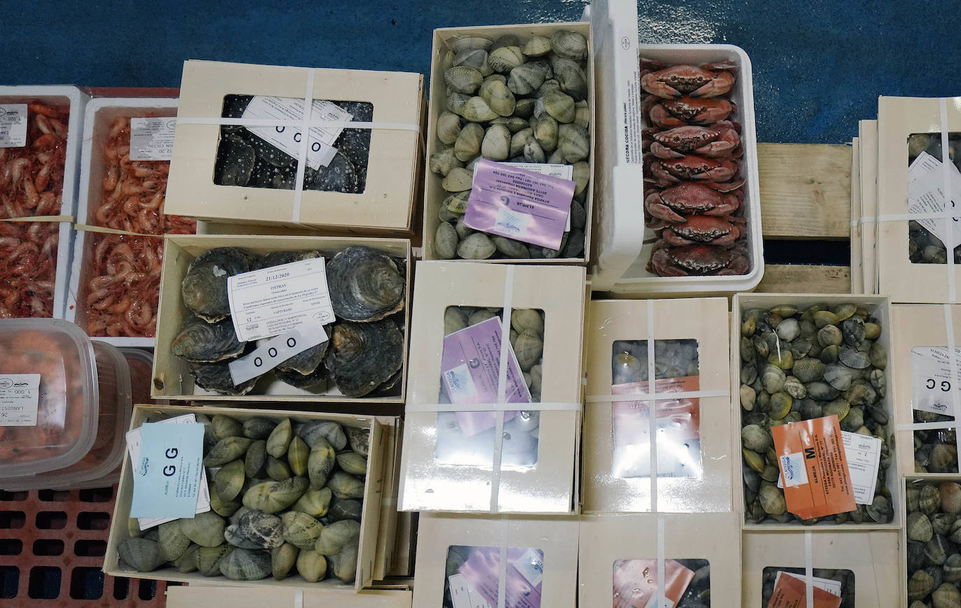 La lonja de Pasaia confirma que la Navidad será distinta, al detectarse en los encargos que las celebraciones van a ser de menos personas. Armadores, vendedores, mayoristas y minoristas trabajan estos días sin descanso para que ninguna familia o establecimiento hostelero se quede estas Navidades sin pescado fresco.