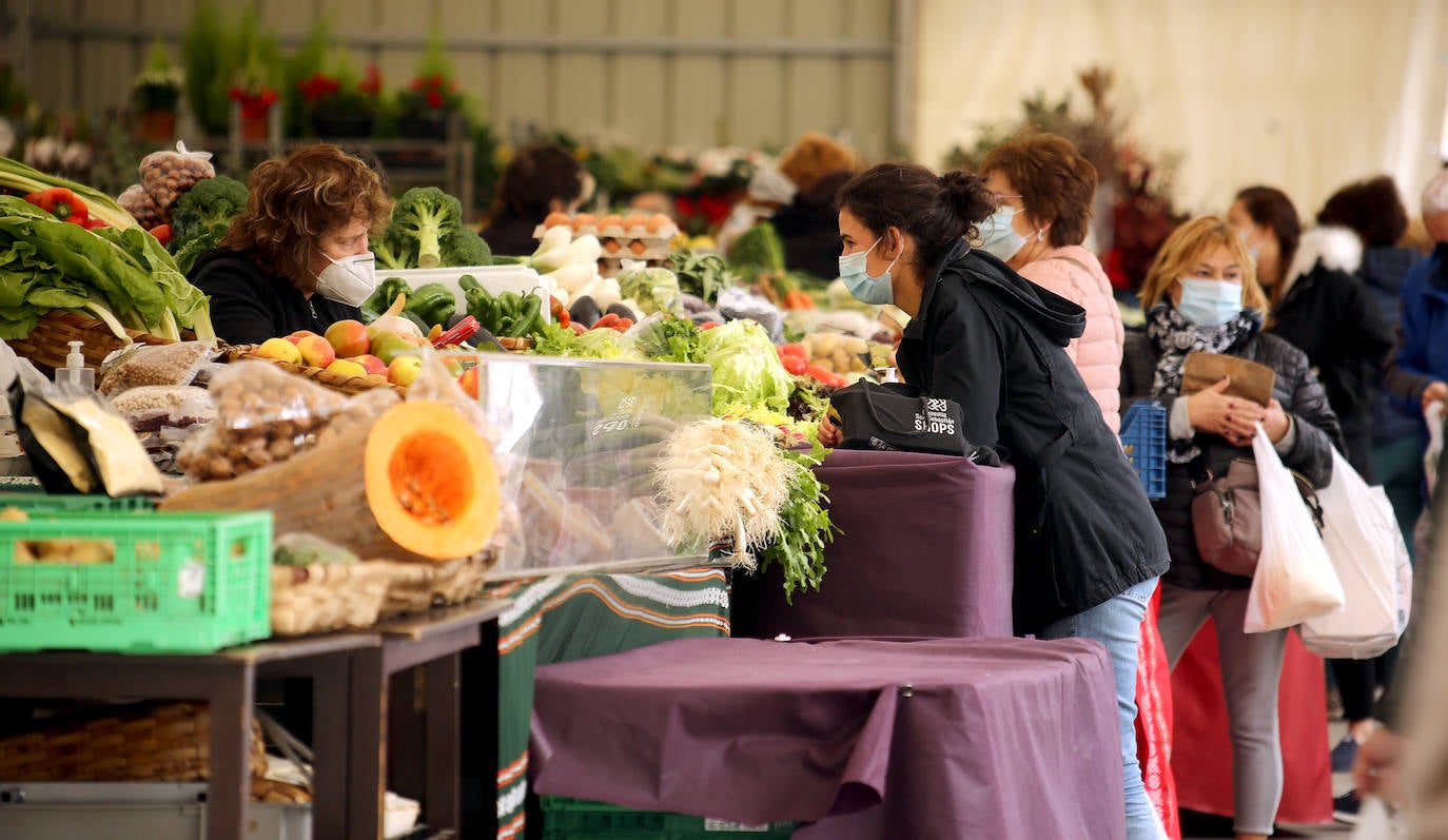 La fiesta de Santo Tomás de 2020 pasará a la historia de San Sebastián como una de las más desangeladas por culpa de la pandemia del coronavirus. La falta de puestos de txistorra, mercados típicos de esta fecha y demás eventos, sin olvidar la ausencia de la tradicional cerda en la Plaza de La Constitución, han provocado un inédito y desangelado escenario en las calles donostiarras. Las duras restricciones a la hostelería también han enfriado el ambiente festivo en todos los barrios de la ciudad. Y eso que el tiempo ha acompañado. El sol y una agradable temperatura han sido insuficientes para calentar el ánimo festivo de los donostiarras.