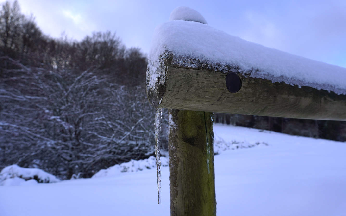 También durante todo el lunes se establecerá el aviso amarillo por nieve, ya que se espera que de madrugada la cota de nieve baje de los 1.000 a los 700 o los 800 meros, auque ocasionalmente puede llegar a 600 metros en áreas de tormenta. A partir del mediodía la cota de nieve podría situarse en el entorno de 800 a 1.000 metros.