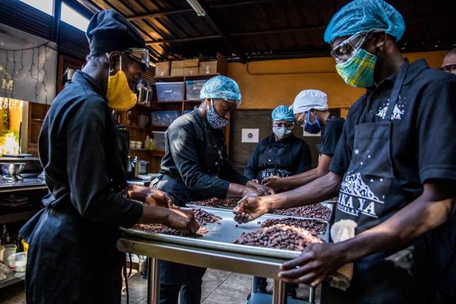 Aunque pequeño frente a los gigantes de América del Sur, Haití está desarrollando lentamente su industria del cacao para garantizar mejores ingresos a miles de agricultores modestos y acabar con el estereotipo del arte gastronómico conocido como el dominio de los países ricos. 