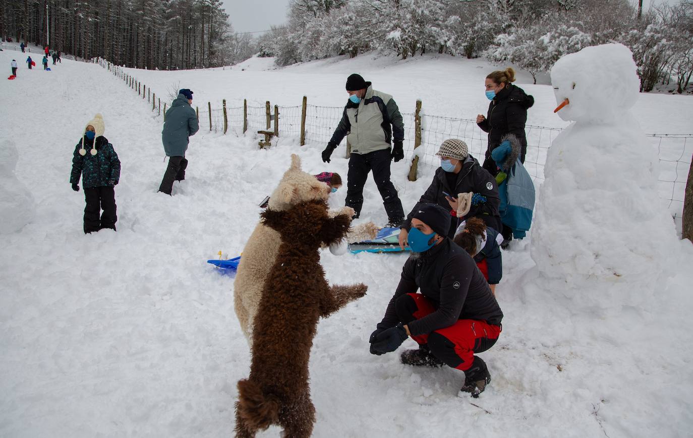 Decenas de personas han disfrutado este domingo en la nieve en el Alto de Etzegarate, en el término de Idiazabal.