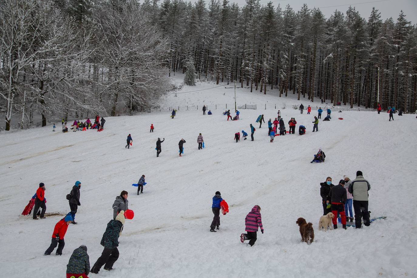 Decenas de personas han disfrutado este domingo en la nieve en el Alto de Etzegarate, en el término de Idiazabal.