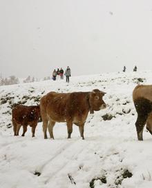 Imagen secundaria 2 - Tres estampas invernales en Bianditz.