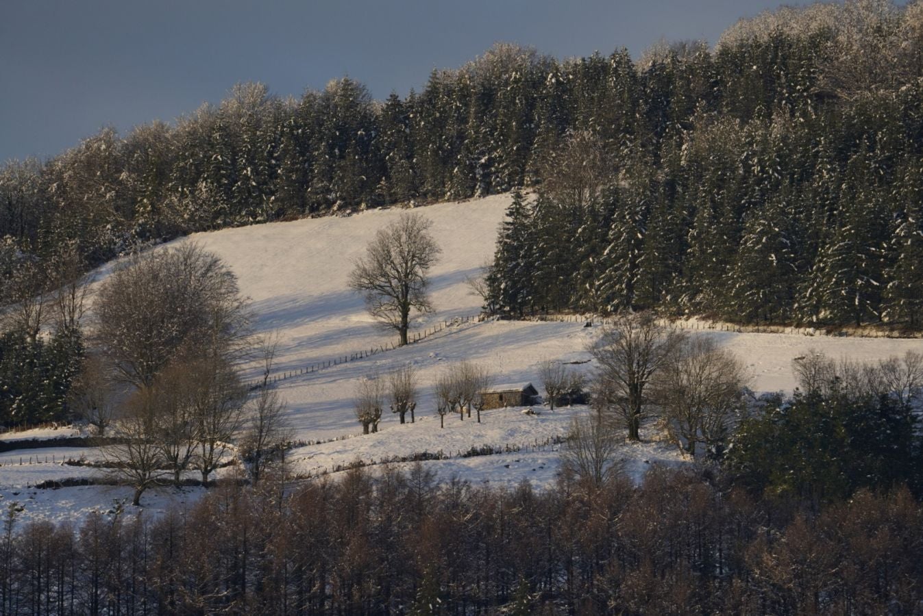 Los termómetros han marcado mínimas por debajo de los cero grados en buena parte de Gipuzkoa. La mínima la ha vuelto a marcar esta pasada madrugada Berastegi con -7,1 grados