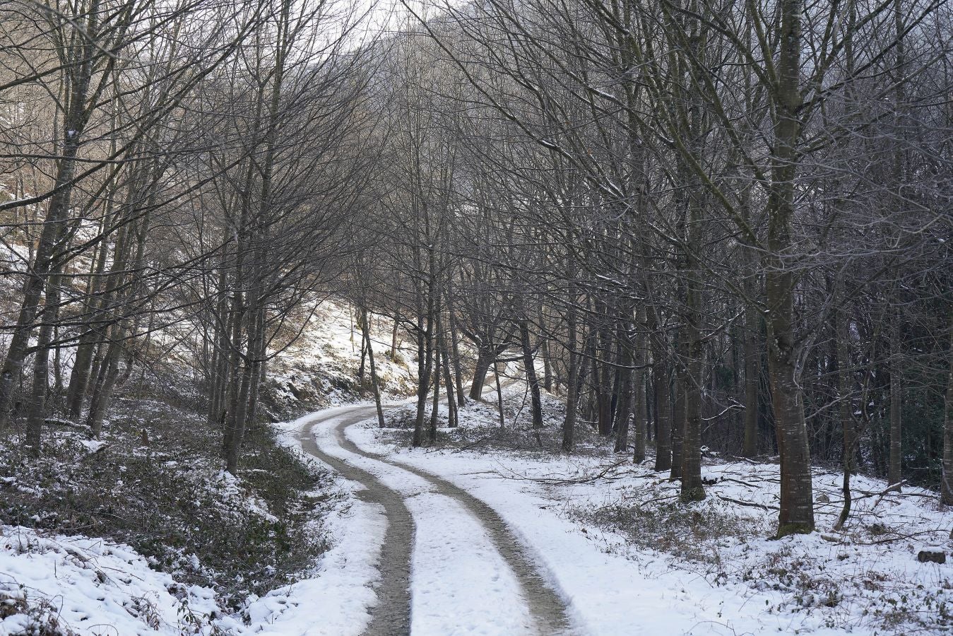 Gipuzkoa de nuevo ha amanecido este viernes bajo un manto de hielo. Las temperaturas se han quedado por debajo de los cero grados en buena parte del territorio