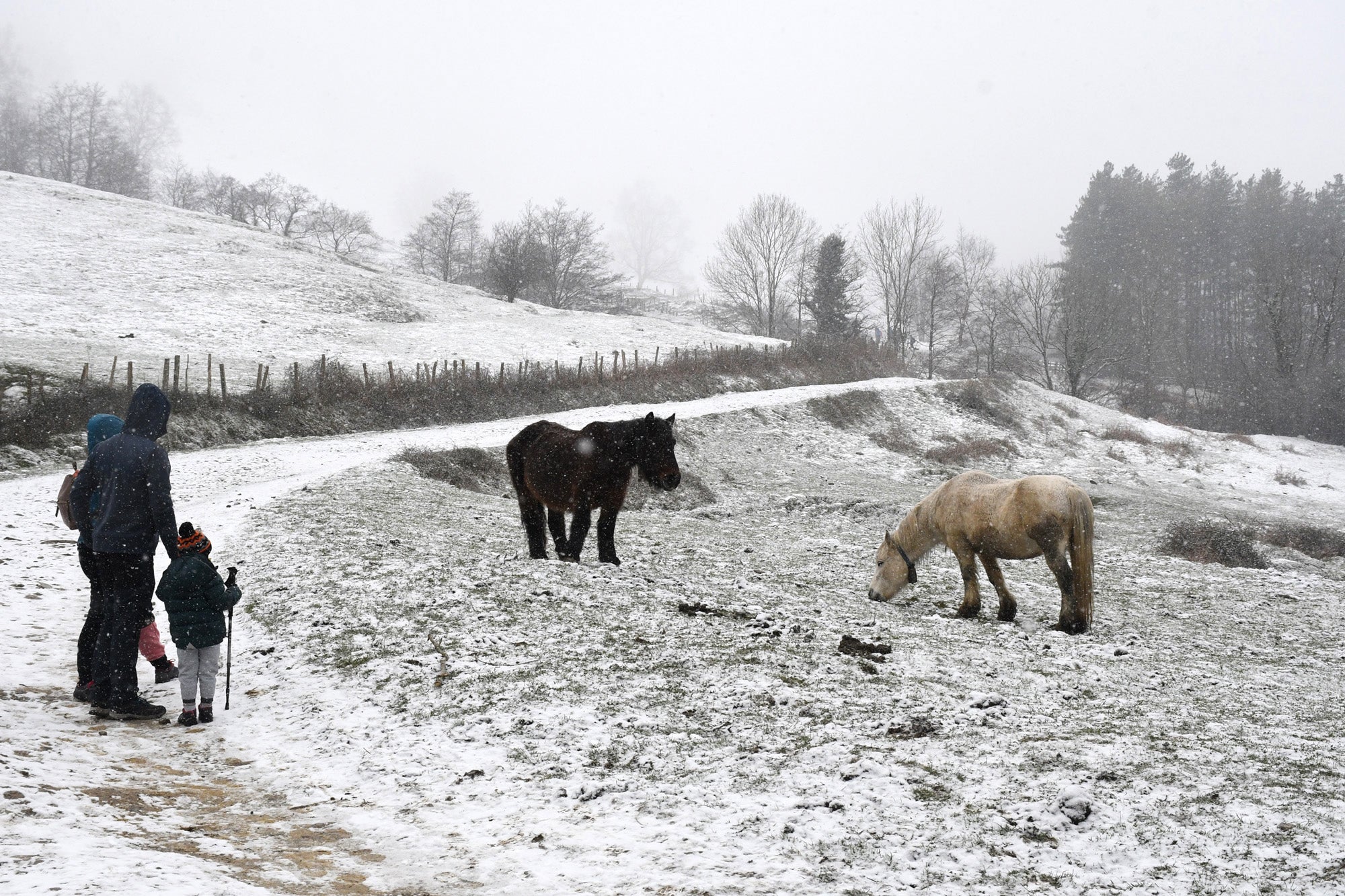 Los copos de nieve cubren las localidades de mayor altitud del territorio