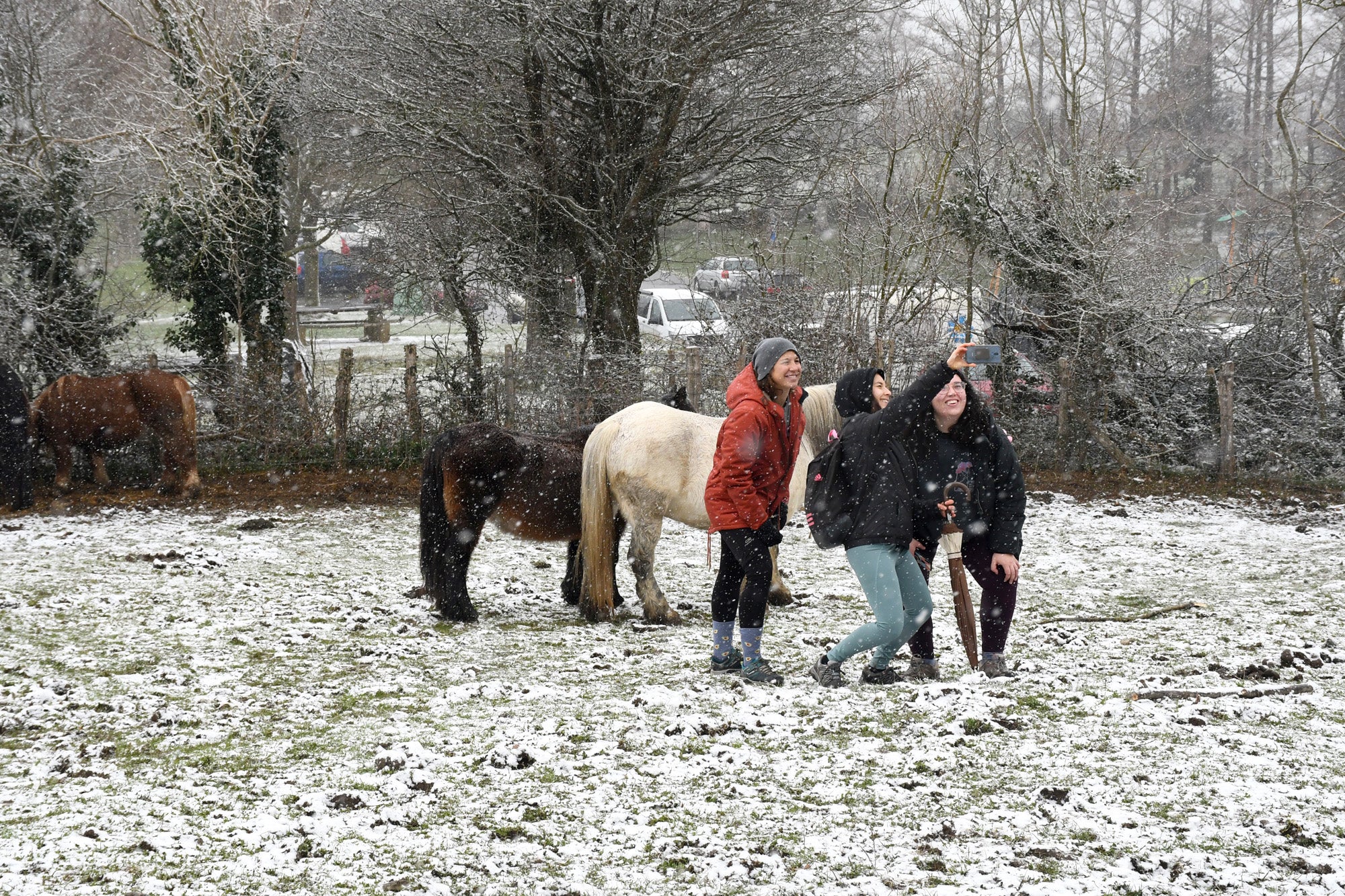 Los copos de nieve cubren las localidades de mayor altitud del territorio