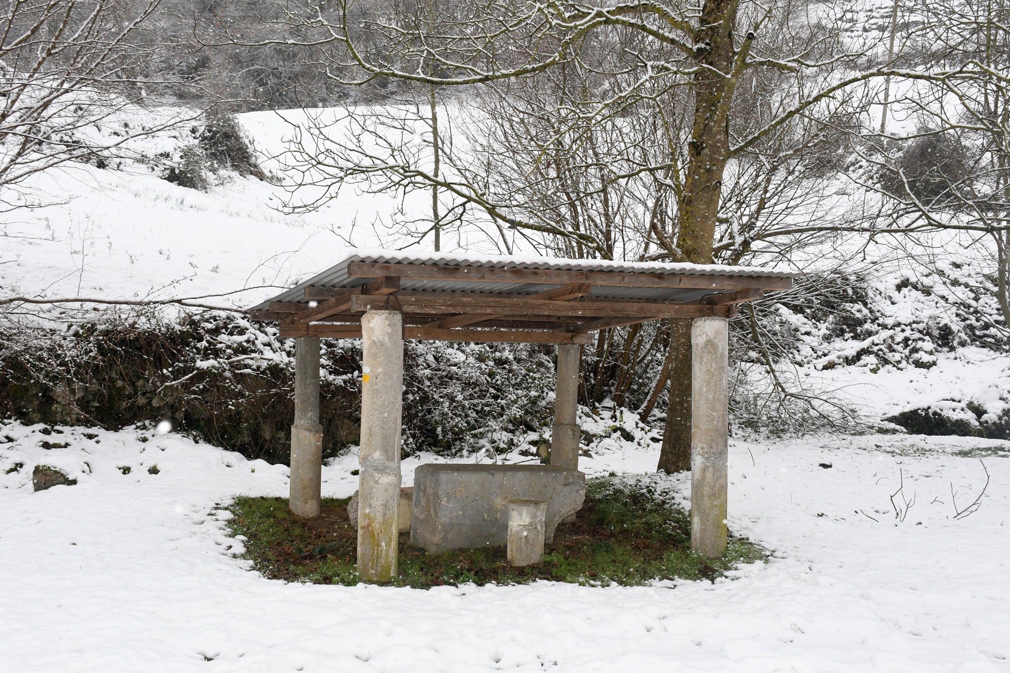 Los copos de nieve cubren las localidades de mayor altitud del territorio