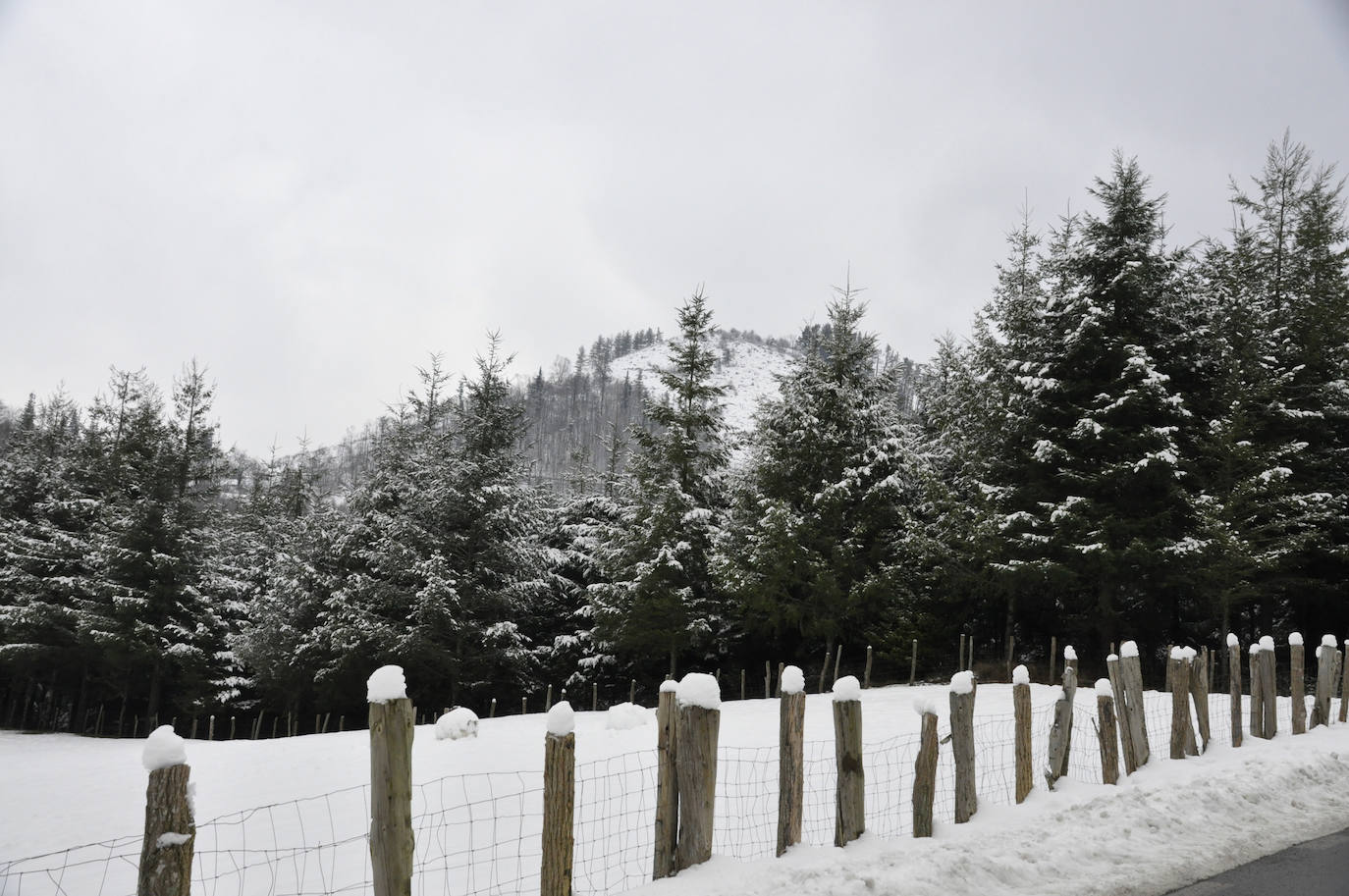 Multitud de personas han disfrutado de la nieve en puntos como el monte Uzturre, Larraiz, el alto de Arrate o la ermita de La Antigua. También se han teñido de blanco los pueblos de Albiztur, Gaztelu, Izaskun, Alkiza y Leaburu.