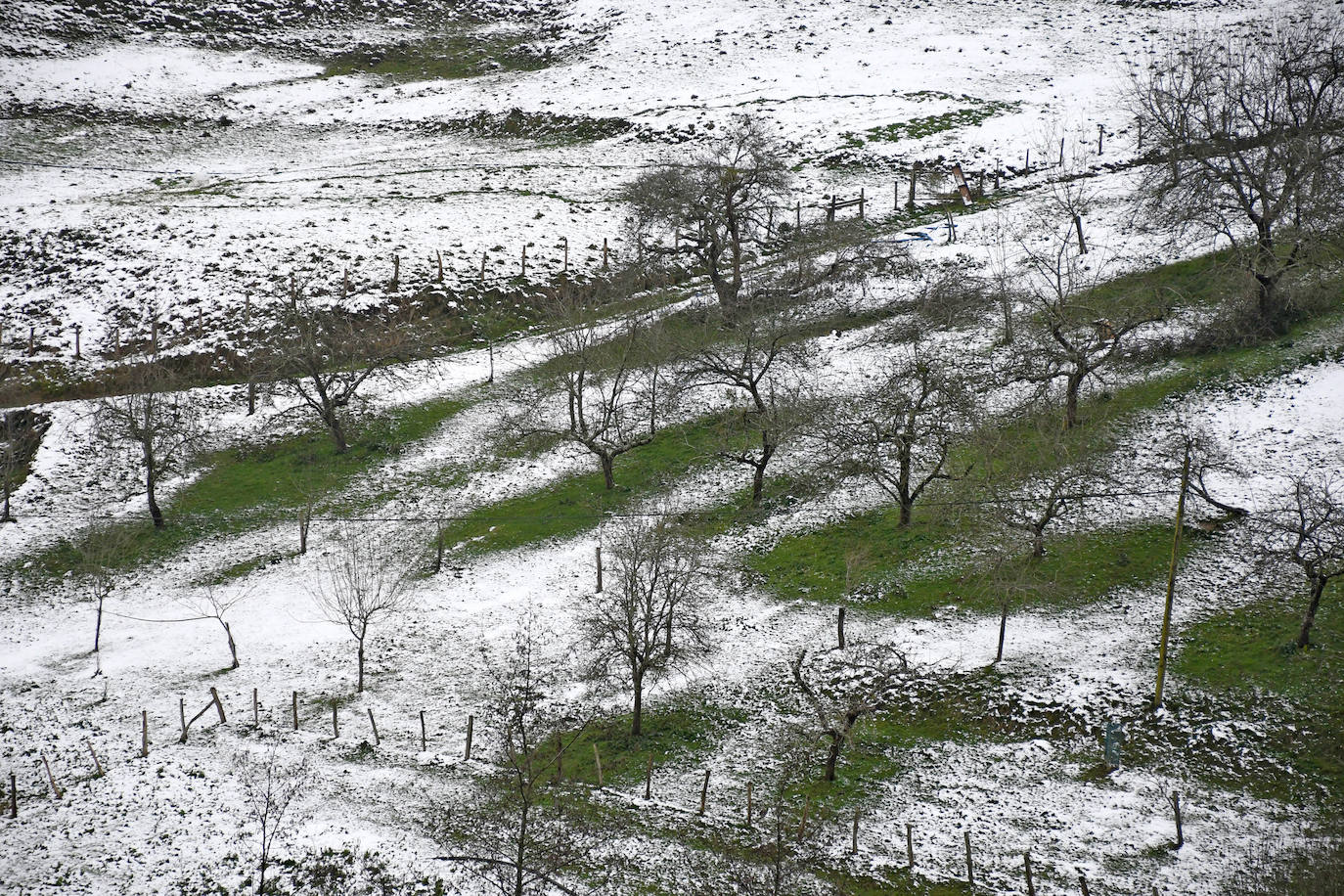 Multitud de personas han disfrutado de la nieve en puntos como el monte Uzturre, Larraiz, el alto de Arrate o la ermita de La Antigua. También se han teñido de blanco los pueblos de Albiztur, Gaztelu, Izaskun, Alkiza y Leaburu.