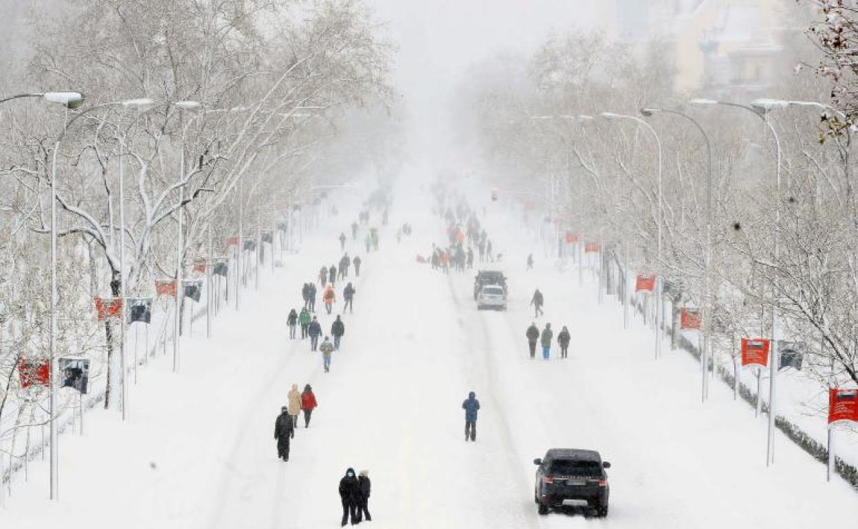 Imagen del Paseo de la Castellana