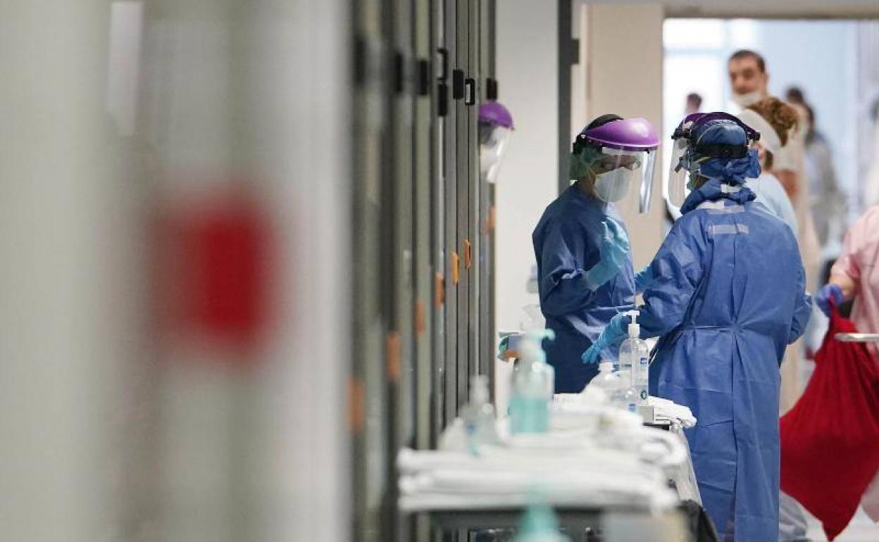 Gotzone Sagardui reconoce que dejan de contabilizar como pacientes Covid en UCI a los que dan negativo en test pese a permanecer en las unidades