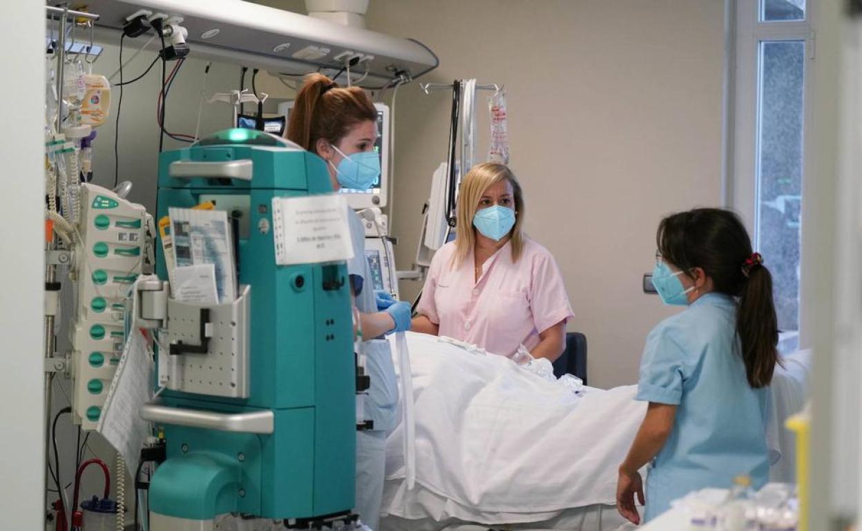 Coronavirus en Euskadi: 16 personas ingresan por covid en las UCIs vascas en las últimas 24 horas