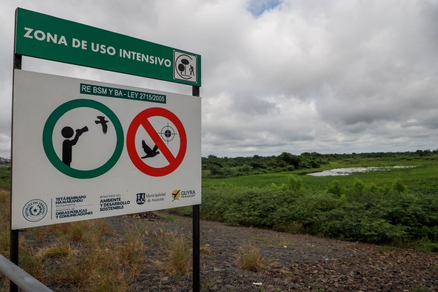 La bahía de Asunción, bañada por el río Paraguay, se ha visto enriquecida en los últimos días con la reaparición del Yakaré Yrupé (Victoria cruziana), tras diez años sin su presencia y pese a ser parte de la flora habitual de esa zona, una de las reservas ecológicas de la capital. La planta, considerada autóctona del río Paraguay, se encontraba en la lista de especies en peligro de extinción del país, de ahí que su renacer se haya recibido con esperanza y, a la vez, con cautela, ya que su ciclo de reproducción es frágil y puede verse afectado por la intervención humana. 