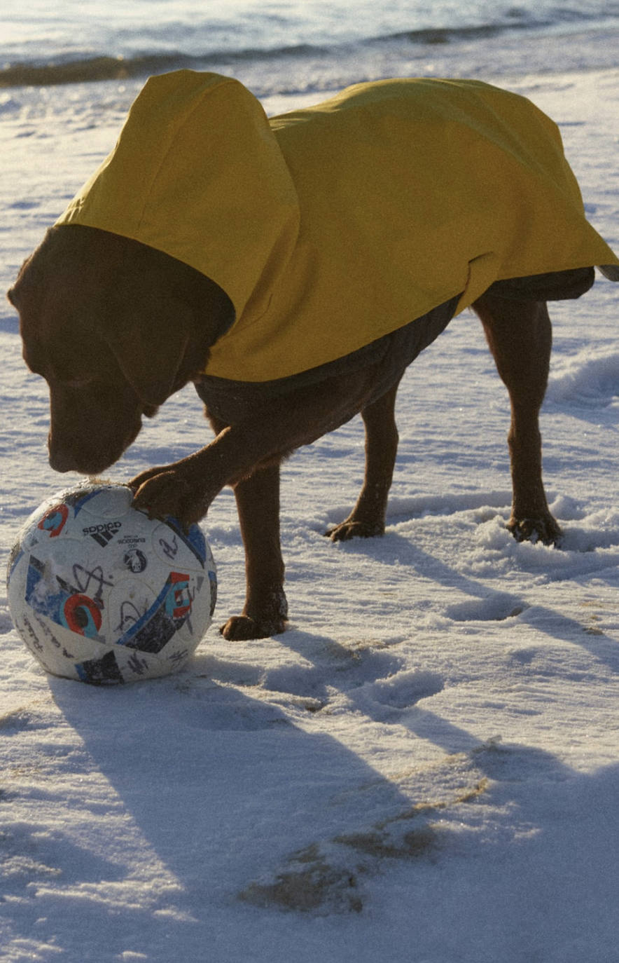 Siguiendo con la tónica de los últimos meses, Zara ha sorprendido con el lanzamiento de la colección 'Pet', dentro de las líneas existentes en el catálogo de la empresa