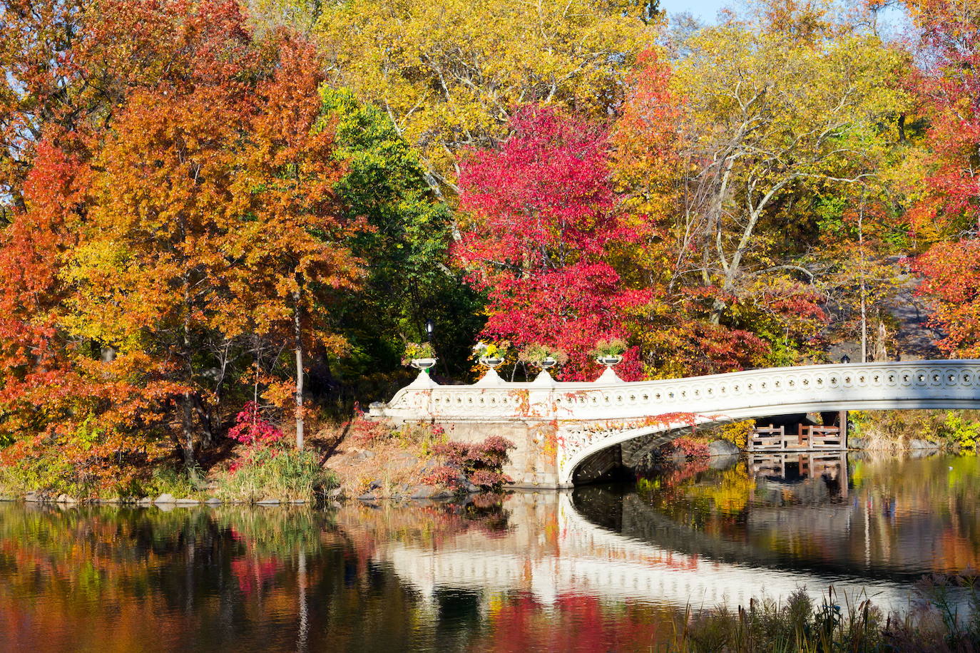 Central Park, en Nueva York.