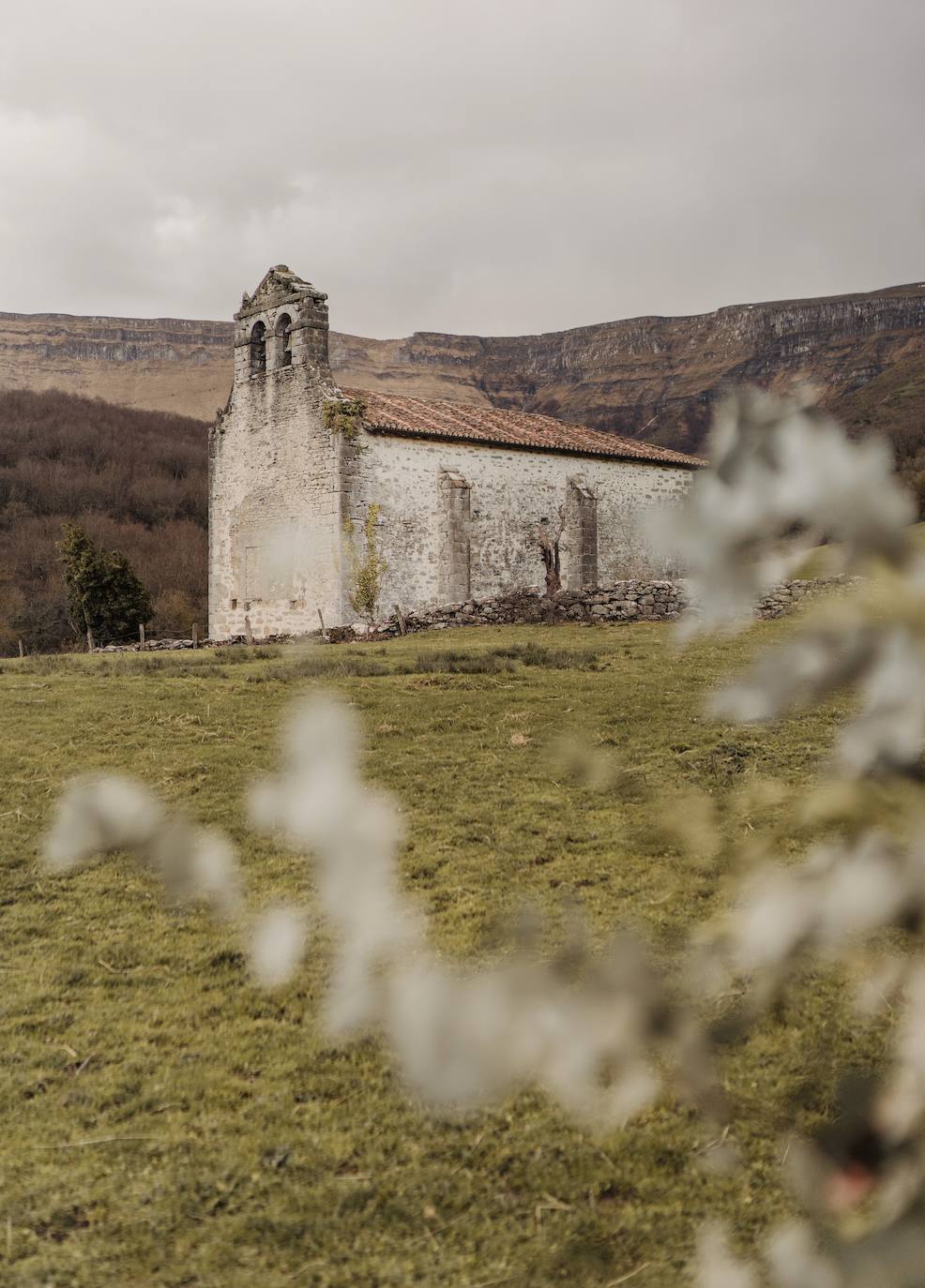 La boda de ensueño de Patri y Txetxu de la mano de 'Bodas Muy Mía', organización, coordinación y decoración de bodas